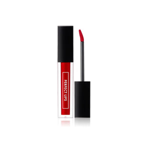 Tonymoly Perfect Lips Rouge Gloss