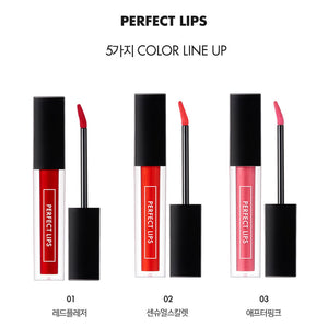 Tonymoly Perfect Lips Rouge Gloss