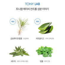 Load image into Gallery viewer, Tonymoly Tony Lab AC Control Spot Patch